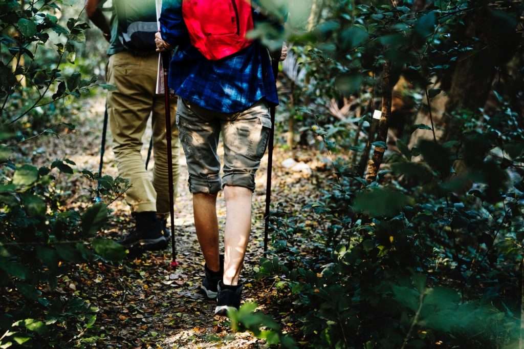 kids hiking