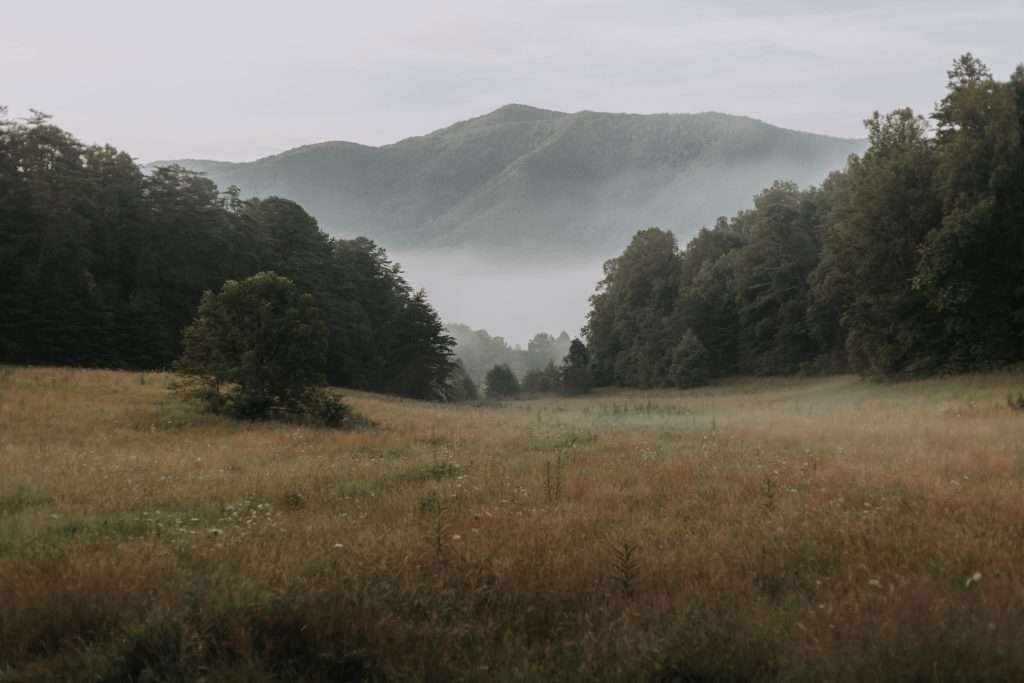 Smoky Mountains