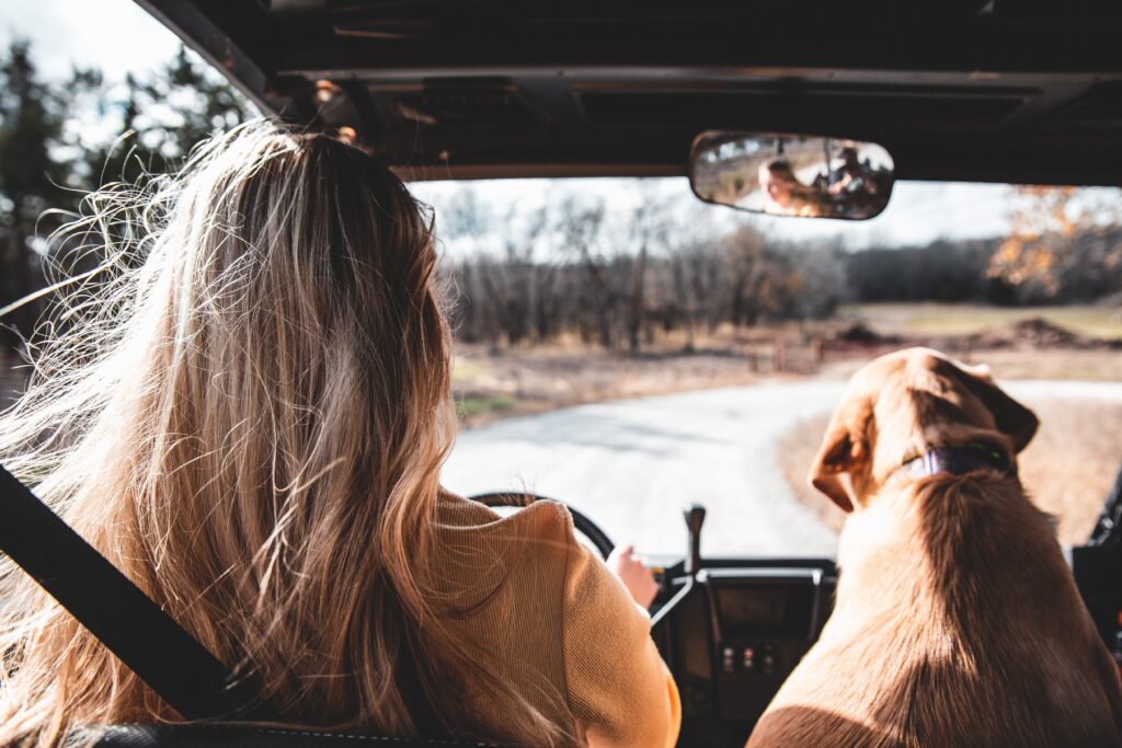 road tripping with pets